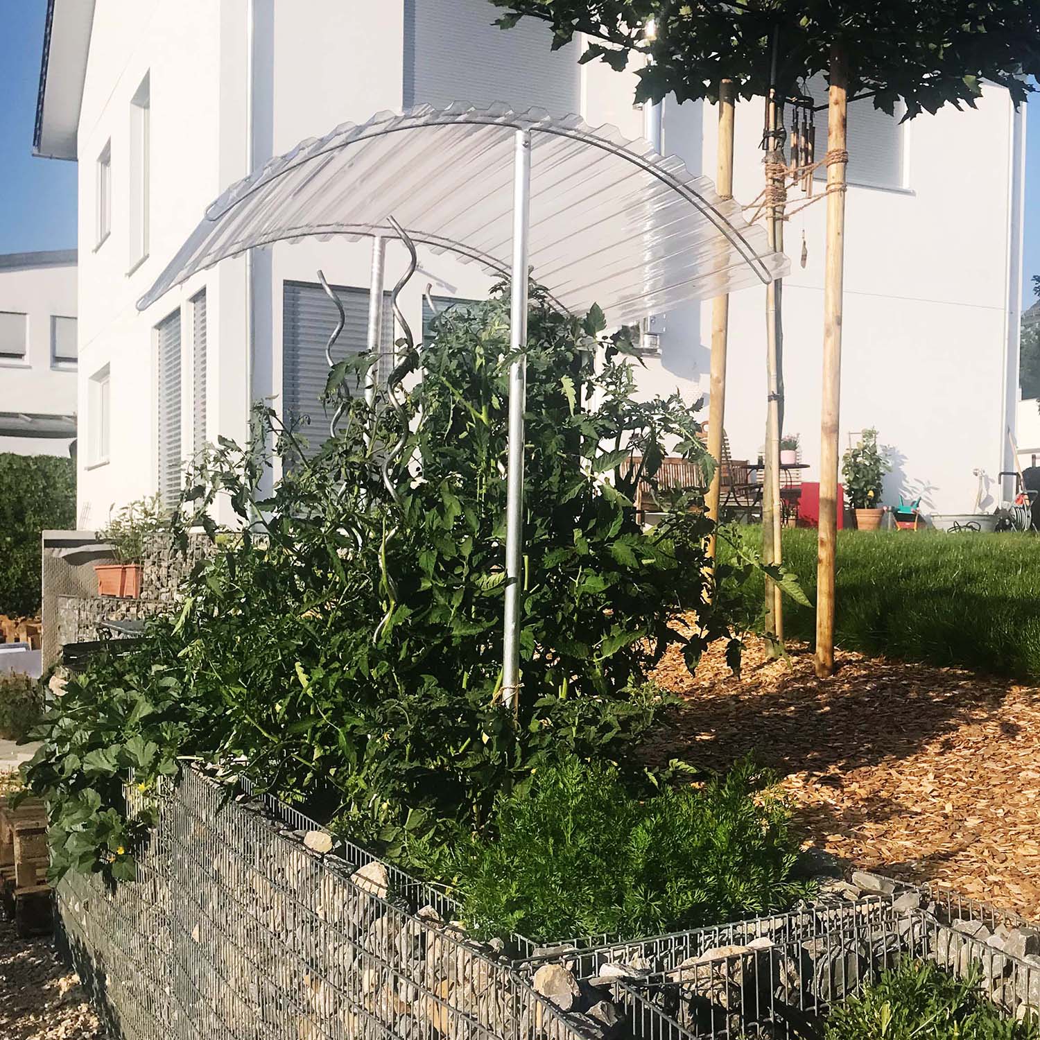 Tomatendach RAPIDO
